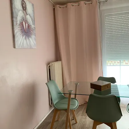 Appartement Spacieux Et Lumineux Vandoeuvre-lès-Nancy Exterior foto