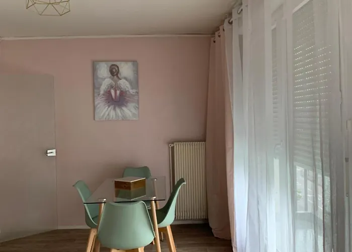 Appartement Spacieux Et Lumineux