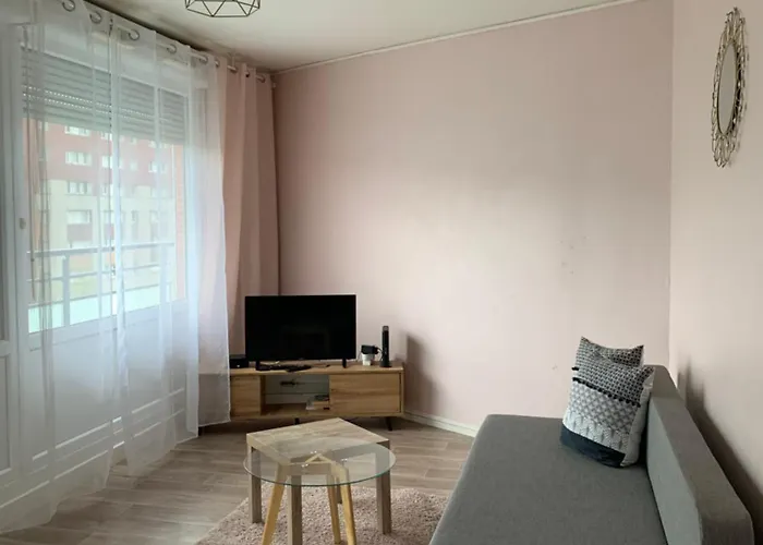 Appartement Spacieux Et Lumineux